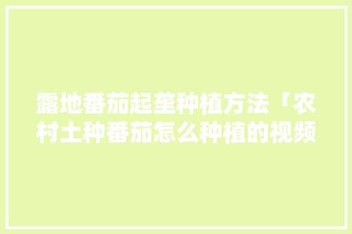 露地番茄起垄种植方法「农村土种番茄怎么种植的视频」