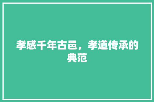 孝感千年古邑，孝道传承的典范
