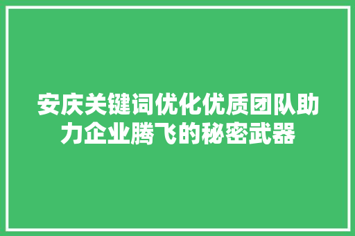 安庆关键词优化优质团队助力企业腾飞的秘密武器