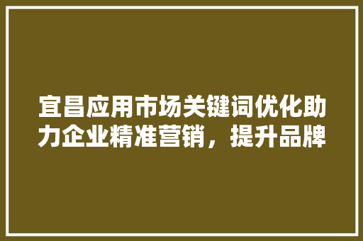 宜昌应用市场关键词优化助力企业精准营销，提升品牌影响力