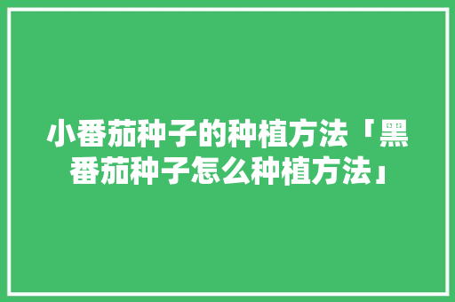 小番茄种子的种植方法「黑番茄种子怎么种植方法」 小番茄种子的种植方法「黑番茄种子怎么种植方法」 土壤施肥