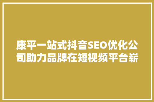 康平一站式抖音SEO优化公司助力品牌在短视频平台崭露头角