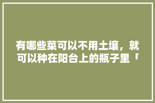 有哪些菜可以不用土壤,就可以种在阳台上的瓶子里「菜园没有小番茄怎么种植呢」 番茄病虫害防治 有哪些菜可以不用土壤,就可以种在阳台上的瓶子里「菜园没有小番茄怎么种植呢」 有哪些菜可以不用土壤,就可以种在阳台上的瓶子里「菜园没有小番茄怎么种植呢」 番茄病虫害防治