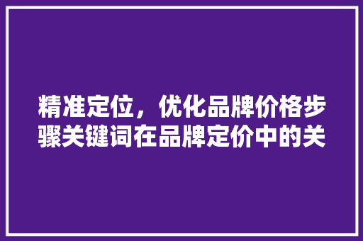 精准定位，优化品牌价格步骤关键词在品牌定价中的关键作用