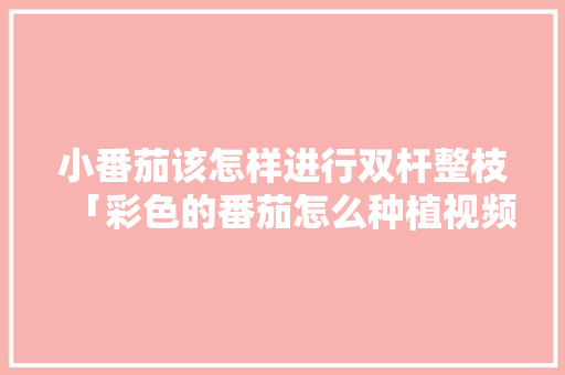 小番茄该怎样进行双杆整枝「彩色的番茄怎么种植视频教程」 小番茄该怎样进行双杆整枝「彩色的番茄怎么种植视频教程」 植物种类
