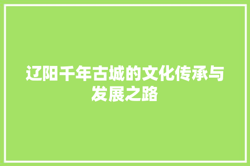 辽阳千年古城的文化传承与发展之路