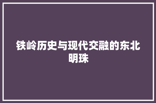 铁岭历史与现代交融的东北明珠