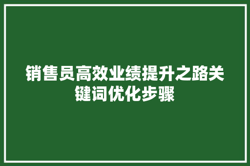 销售员高效业绩提升之路关键词优化步骤