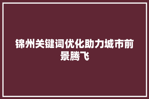 锦州关键词优化助力城市前景腾飞