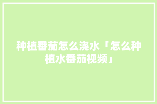 种植番茄怎么浇水「怎么种植水番茄视频」