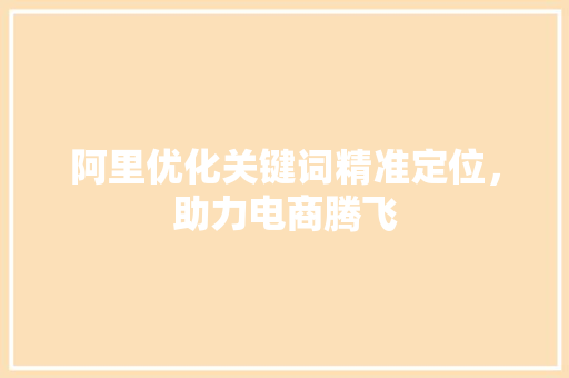 阿里优化关键词精准定位，助力电商腾飞