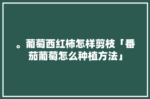 。葡萄西红柿怎样剪枝「番茄葡萄怎么种植方法」 。葡萄西红柿怎样剪枝「番茄葡萄怎么种植方法」 植物种类