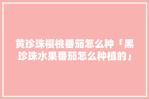 黄珍珠樱桃番茄怎么种「黑珍珠水果番茄怎么种植的」 黄珍珠樱桃番茄怎么种「黑珍珠水果番茄怎么种植的」 种植技巧