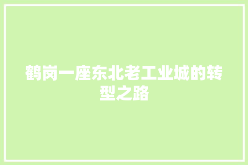 鹤岗一座东北老工业城的转型之路