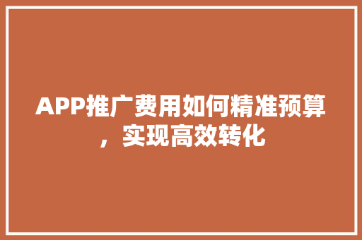 APP推广费用如何精准预算，实现高效转化