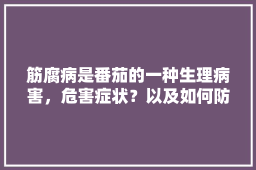 筋腐病是番茄的一种生理病害，危害症状？以及如何防治「番茄筋腐果怎么种植视频」 筋腐病是番茄的一种生理病害，危害症状？以及如何防治「番茄筋腐果怎么种植视频」 番茄病虫害防治