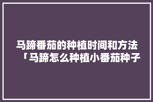 马蹄番茄的种植时间和方法「马蹄怎么种植小番茄种子图片」