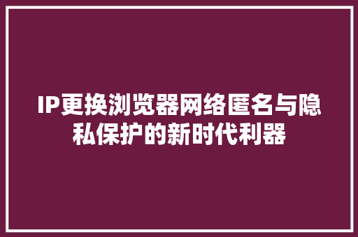 IP更换浏览器网络匿名与隐私保护的新时代利器
