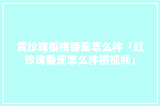 黄珍珠樱桃番茄怎么种「红珍珠番茄怎么种植视频」 黄珍珠樱桃番茄怎么种「红珍珠番茄怎么种植视频」 花朵知识