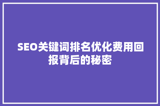 SEO关键词排名优化费用回报背后的秘密 种植技巧