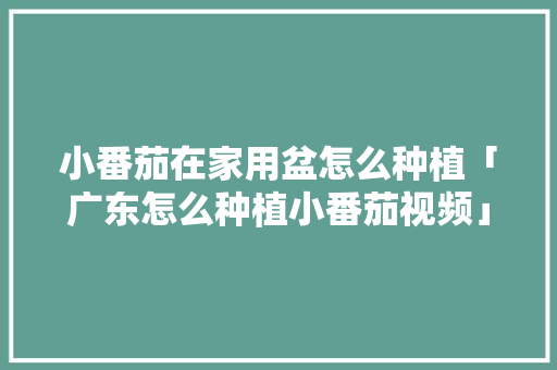 小番茄在家用盆怎么种植「广东怎么种植小番茄视频」 小番茄在家用盆怎么种植「广东怎么种植小番茄视频」 种植技巧