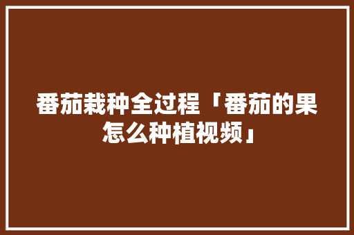 番茄栽种全过程「番茄的果怎么种植视频」 番茄栽种全过程「番茄的果怎么种植视频」 番茄种植技巧