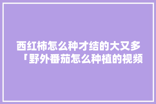 西红柿怎么种才结的大又多「野外番茄怎么种植的视频教程」 西红柿怎么种才结的大又多「野外番茄怎么种植的视频教程」 番茄病虫害防治