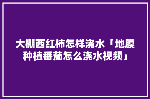 大棚西红柿怎样浇水「地膜种植番茄怎么浇水视频」 大棚西红柿怎样浇水「地膜种植番茄怎么浇水视频」 农业常识