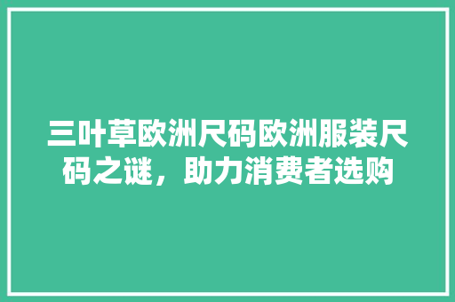 三叶草欧洲尺码欧洲服装尺码之谜，助力消费者选购