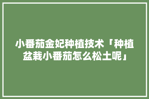 小番茄金妃种植技术「种植盆栽小番茄怎么松土呢」 小番茄金妃种植技术「种植盆栽小番茄怎么松土呢」 土壤施肥