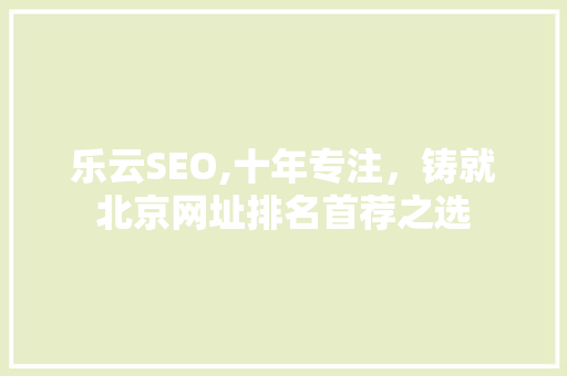 乐云SEO,十年专注，铸就北京网址排名首荐之选