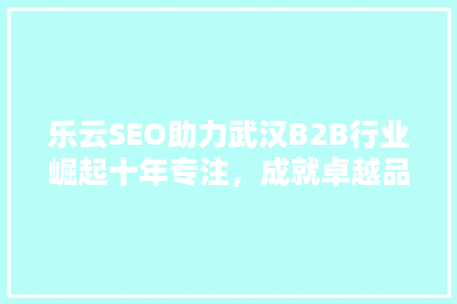 乐云SEO助力武汉B2B行业崛起十年专注，成就卓越品牌推广之路