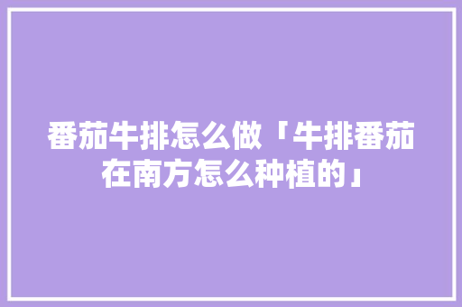 番茄牛排怎么做「牛排番茄在南方怎么种植的」 番茄牛排怎么做「牛排番茄在南方怎么种植的」 番茄种植技巧