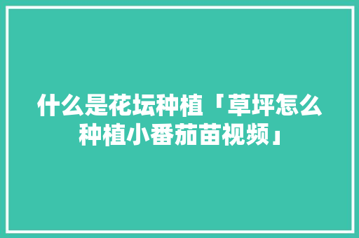 什么是花坛种植「草坪怎么种植小番茄苗视频」