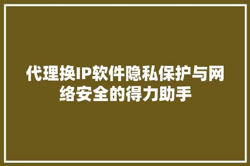 代理换IP软件隐私保护与网络安全的得力助手