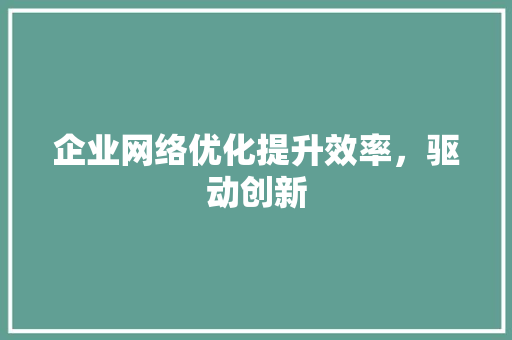 企业网络优化提升效率，驱动创新