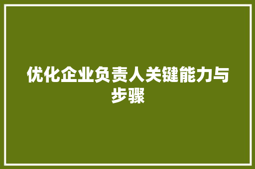 优化企业负责人关键能力与步骤