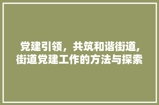 党建引领，共筑和谐街道,街道党建工作的方法与探索