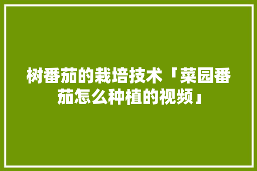 树番茄的栽培技术「菜园番茄怎么种植的视频」 树番茄的栽培技术「菜园番茄怎么种植的视频」 土壤施肥
