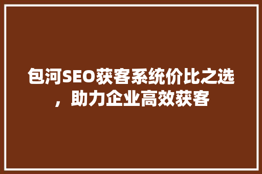 包河SEO获客系统价比之选，助力企业高效获客
