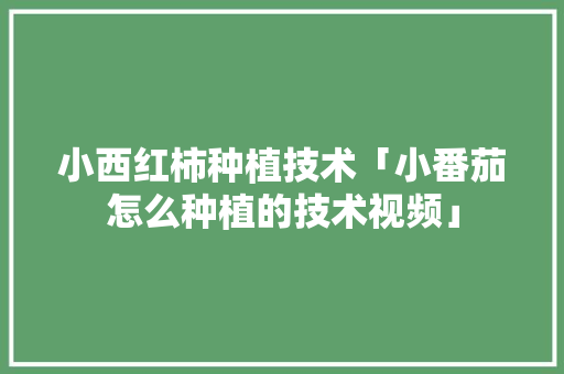 小西红柿种植技术「小番茄怎么种植的技术视频」 小西红柿种植技术「小番茄怎么种植的技术视频」 番茄病虫害防治