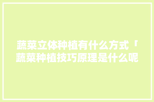 蔬菜立体种植有什么方式「蔬菜种植技巧原理是什么呢」