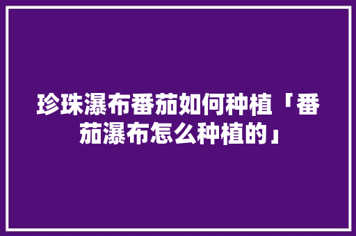 珍珠瀑布番茄如何种植「番茄瀑布怎么种植的」 珍珠瀑布番茄如何种植「番茄瀑布怎么种植的」 花朵知识