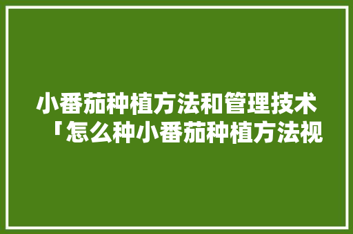 小番茄种植方法和管理技术「怎么种小番茄种植方法视频」 小番茄种植方法和管理技术「怎么种小番茄种植方法视频」 农业常识