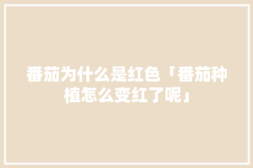番茄为什么是红色「番茄种植怎么变红了呢」 番茄为什么是红色「番茄种植怎么变红了呢」 农业常识