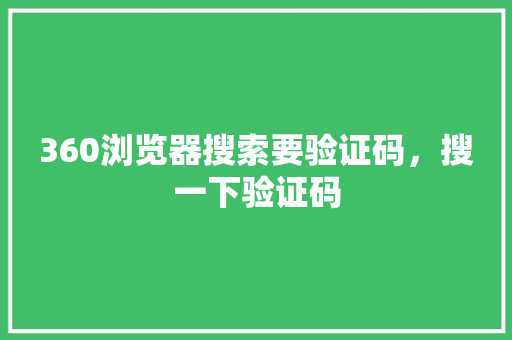 360浏览器搜索要验证码，搜一下验证码