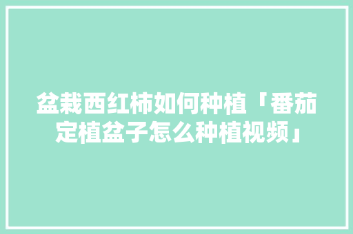 盆栽西红柿如何种植「番茄定植盆子怎么种植视频」 盆栽西红柿如何种植「番茄定植盆子怎么种植视频」 番茄种植技巧