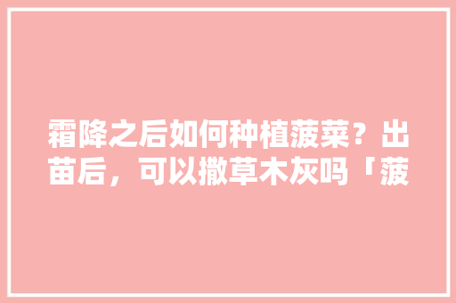 霜降之后如何种植菠菜？出苗后，可以撒草木灰吗「菠菜怎么种植小番茄图片大全」 霜降之后如何种植菠菜？出苗后，可以撒草木灰吗「菠菜怎么种植小番茄图片大全」 种植技巧