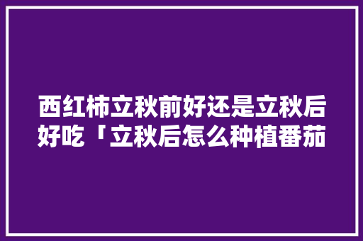 西红柿立秋前好还是立秋后好吃「立秋后怎么种植番茄呢」 番茄种植技巧 西红柿立秋前好还是立秋后好吃「立秋后怎么种植番茄呢」 西红柿立秋前好还是立秋后好吃「立秋后怎么种植番茄呢」 番茄种植技巧