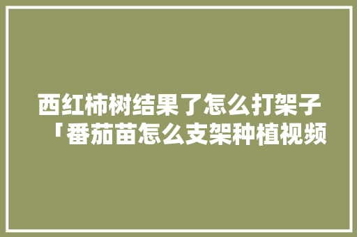 西红柿树结果了怎么打架子「番茄苗怎么支架种植视频」 西红柿树结果了怎么打架子「番茄苗怎么支架种植视频」 植物种类